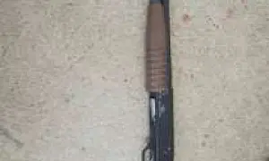 В Брянске ученица 8-го класса устроила в школе стрельбу из огнестрельного оружия