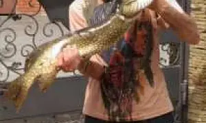 В Ростовской области киллер четырьмя выстрелами в голову убил авторитетного бизнесмена