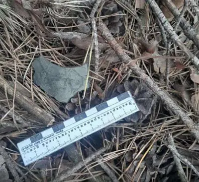 сбит в гомельской области: украинский беспилотник впервые атаковал территорию белоруссии (видео) - Сайт Газеты «Совершенно Секретно»