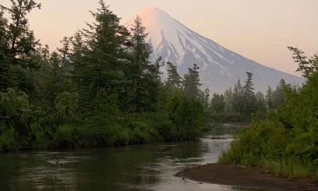 Комитет по экологии ГД одобрил состоящий «из замечаний» законопроект об изъятии природоохранных земель для строительства