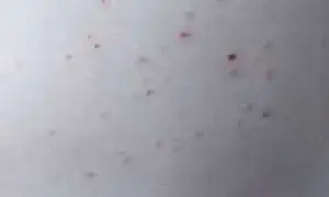 В ростовском спецприемнике умер активист, который жаловался на пытки (ВИДЕО)