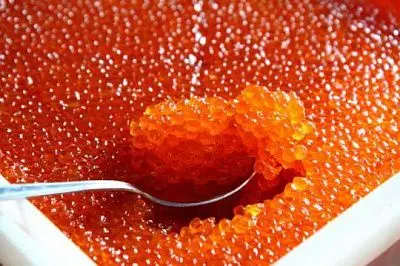 в камчатском крае у браконьеров изъяли порядка 100 кг красной икры - Сайт Газеты «Совершенно Секретно»