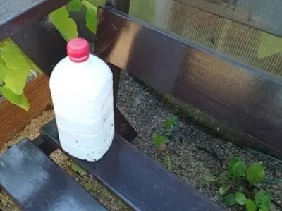 массовое смертельное отравление суррогатным алкоголем произошло в ленобласти  - Сайт Газеты «Совершенно Секретно»