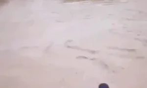 Идёт экстренная эвакуация: в Челябинской области прорвало дамбу