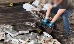 ФСБ: в порту Санкт-Петербурга нашли 500 кг кокаина в тушах тунца