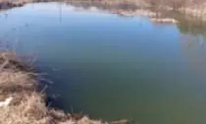 Тело пропавшего два дня назад мальчика обнаружили в пруду под Калугой