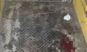 Подозрение на перелом позвоночника: в московском KFC упал лифт с людьми (ВИДЕО)