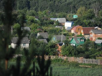 россияне меняют город на деревню