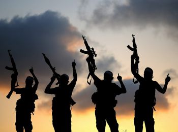 спецслужбы сша получили данные о внутренней структуре «исламского государства»