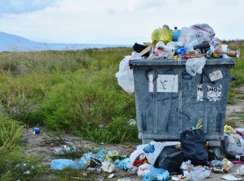 российский ученый нашел способ спасти экологию от пакетов и пластика
