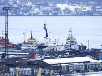 ск прекратил уголовное дело в отношении членов экипажа «арктик санрайз»