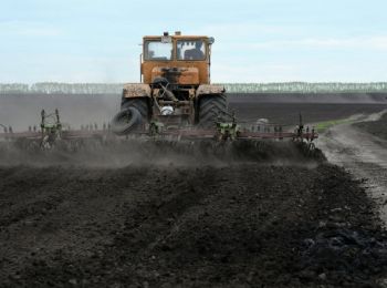 российские аграрии к осени не смогут расплатиться по кредитам из-за подорожавшей посевной