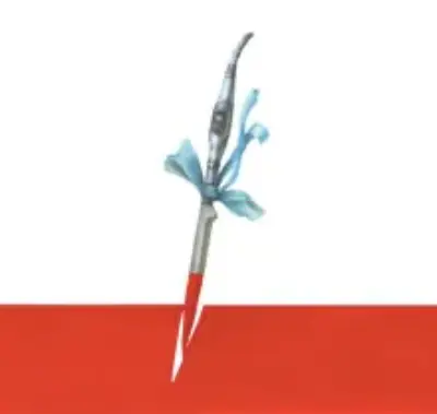 29 ФЕВРАЛЯ - Совершенно Секретно