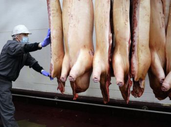 россельхознадзор заявил о важности поставок российского мяса в бразилию