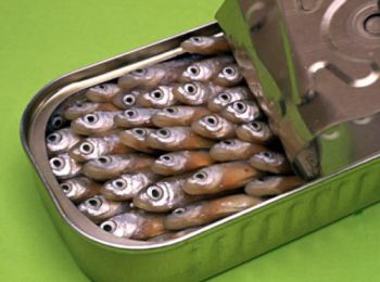 роспотребнадзор запретил ввоз рыбных консервов четырех заводов латвии