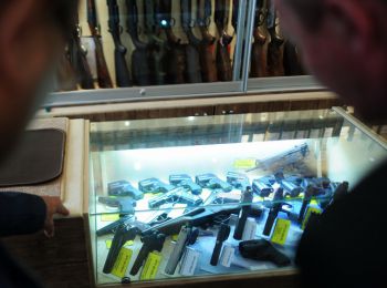 совфед предложит правительству внести уточнения в постановление о ношении оружия