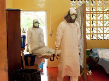 лихорадка эбола унесла жизни более тысячи человек