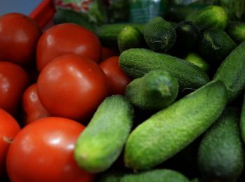 в россию не пустили 200 тонн овощей и фруктов из белоруссии