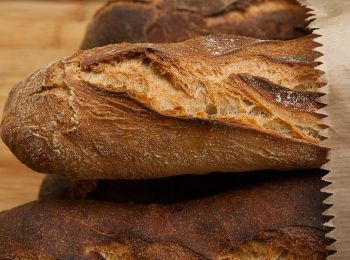 цены на хлеб в россии с начала года увеличились на 4%