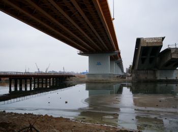 скр возбудил уголовное дело по факту обрушения моста в калининграде