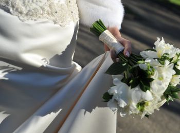 кавказские республики бьют все рекорды по стоимости свадеб