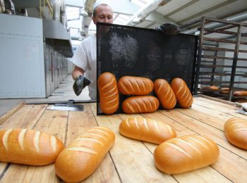 в россии хлеб подорожает на 10%, при самом высоком урожае в новейшей истории