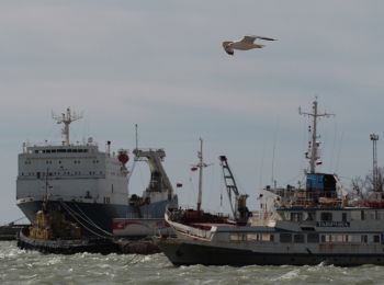 киев закрывает порты для международного судоходства в крыму