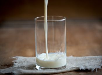 в россии установлены новые правила продажи молочной продукции