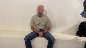 Франция экстрадирует в РФ обвиняемого в терроризме участника ИГ* Боташева