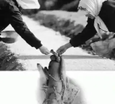 ЗРИ В КОРЕНЬ - Совершенно Секретно