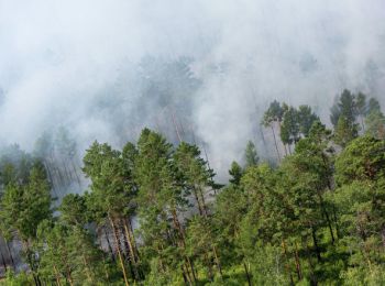 в сибири площадь лесных пожаров за сутки увеличилась втрое