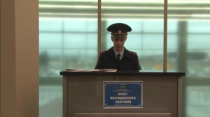 МВД: первые 12 пунктов миграционного контроля начали работать в крупнейших аэропортах России