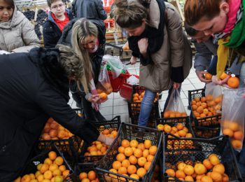 медведев потребовал принять меры против роста цен на продукты