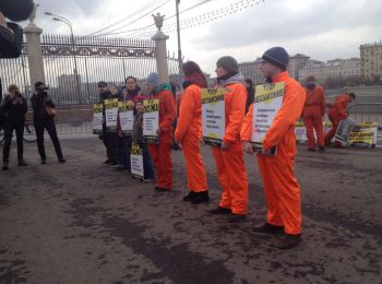 «Гринпис» поддержали в гайд-парке