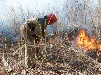 пожары в чернобыле могут сильно загрязнить атмосферу