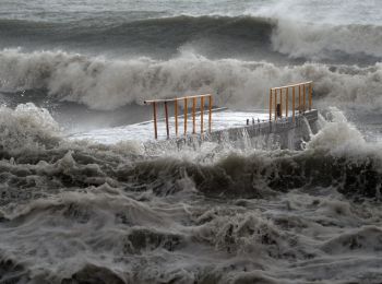 в шести районах приморья введен режим чс из-за тайфуна «гони»