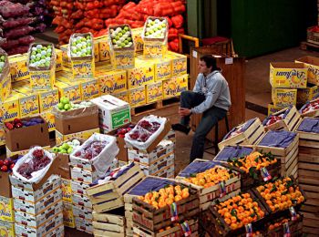 кремль поставил условие греции, кипру и венгрии для смягчения продуктового эмбарго