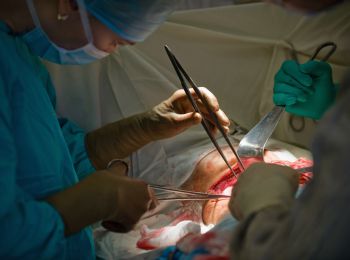 Новый закон о трансплантации: «да» или «нет»?