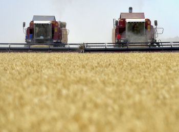 кндр поблагодарила россию за безвозмездные 50 тыс тонн пшеницы