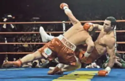 ЛАБИРИНТ МИНОТАВРА 