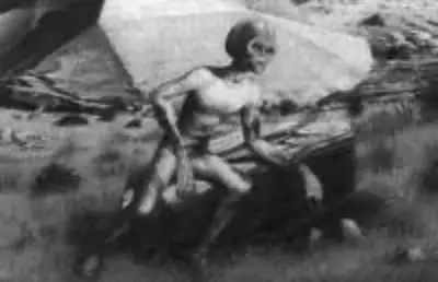 АВАРИЯ ВЕКА