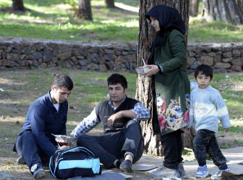 временное убежище в россии получили 2 тыс сирийских беженцев