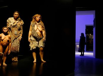российские археологи установили, что неандертальцы торговали на кавказе