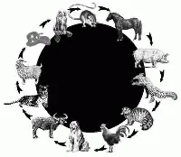 НЕБЕСНАЯ МОЛНИЯ - «Совершенно Секретно»