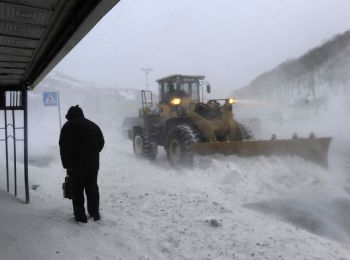власти санкт-петербурга посоветовали жителям убирать снег самостоятельно