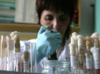 затонувшая вакцина от сибирской язвы животных, найдена
