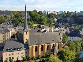люксембург первым в мире сделал общественный транспорт бесплатным