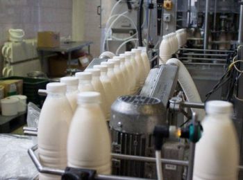 россельхознадзор запретил ввоз украинской молочной продукции