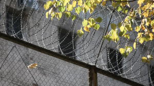 Мошенникам, похитившим деньги с банковских счетов умерших россиян, дали до 14 лет колонии