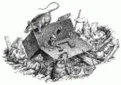 ЧЁРНЫЙ ЯЩИК - Совершенно Секретно